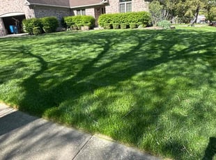 Ken B.'s Yard Cutting service result