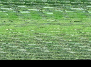 Maggie P.'s Yard Cutting service result
