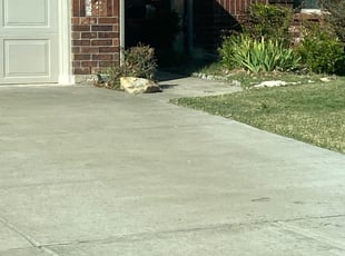 Bush Trimming by Devousier Carter for Alexandra H. in Dallas, TX