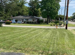 Ray W.'s Lawn Mowing Service service result