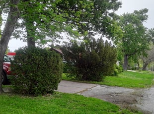 Bush Trimming by Julio Almestica for Ryan F. in Kansas City, MO