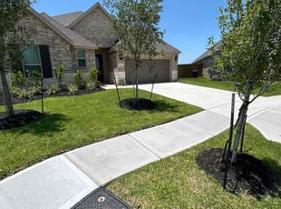 Francisca M.'s Yard Cutting service result