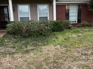 Bush Trimming by Byron Gordy for Lisa S. in Brandon, MS