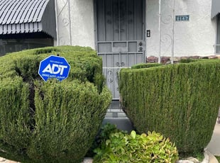 Bush Trimming by Fernando Gomez Rodriguez for Phyllis R. in Los Angeles, CA