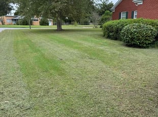 Debbie D.'s Lawn Care service result