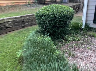 Bush Trimming by Marsha Cooper for JerrY E. in Lawrenceville, GA