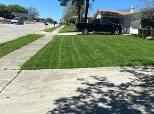 Daniel L.'s Lawn Mowing service result