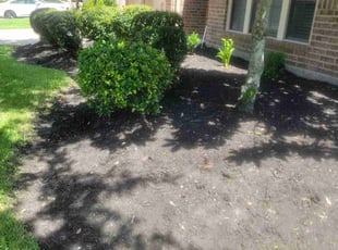 Weeding by Gladis Carcamo for Yolinda B. in Katy, TX