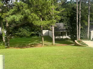Jada H.'s Grass Cutting service result