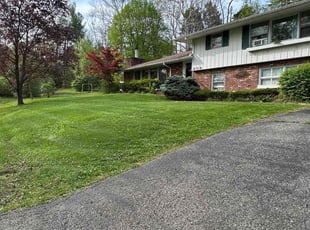 Tara J.'s Yard Cutting service result