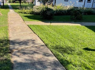 Angela D.'s Lawn Service service result