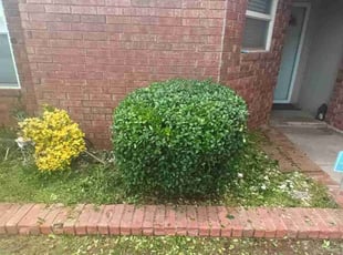 Bush Trimming by Dustin McGregor for Ogelin P. in Oklahoma City, OK