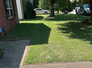 Robert C.'s Lawn Mowing service result