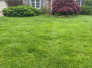 Marsalis P.'s Lawn Service service result
