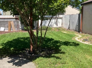 Randall S.'s Lawn Mowing Service service result
