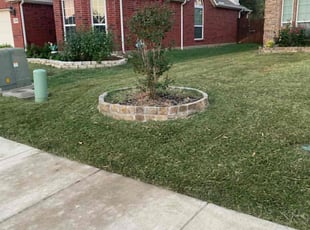 Amy A.'s Lawn Maintenance service result