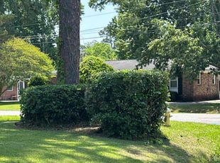 Bush Trimming by Felix Sandoval for Daryl E. in Charleston, SC