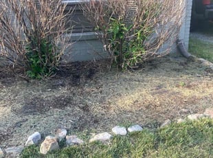 Weeding by Shawn Alsup for Cole J. in Nashville, TN