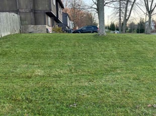 Cleanups by Charles Williams for John L. in Cranberry Township, PA