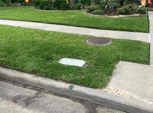 Laurie M.'s Lawn Mowing Service service result