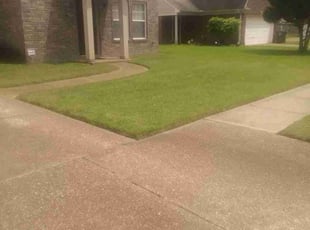 Kathie R.'s Yard Cutting service result