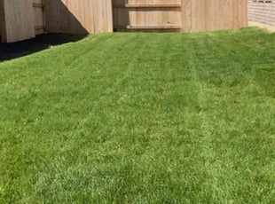 Kathryn B.'s Lawn Service service result