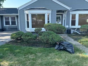 Bush Trimming by Mike Brooks for Camesha D. in Oak Lawn, IL