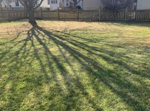Leaf Removal by Romeo Twalla for Lester G. in Hagerstown, MD