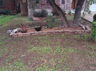 Weeding by Joshua Cabiya for MATTHEW S. in Austin, TX