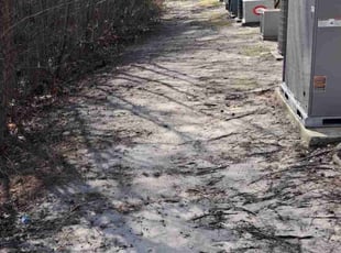 Leaf Removal by truman mason for Al K. in Selbyville, DE