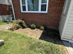 Weeding by Jairon Villagran for Dawn F. in Silver Spring, MD