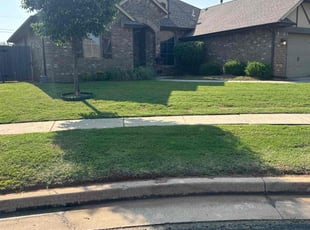 Anneta D.'s Grass Cutting service result
