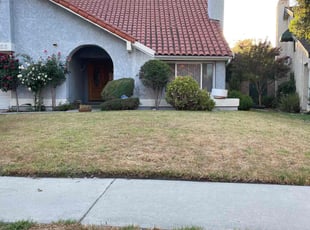 Bush Trimming by Alexander Stevenson for Cherie H. in Los Angeles, CA
