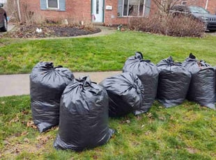 Leaf Removal by Rayshawn Martin for MIchelle E. in Willowick, OH