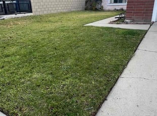 Adam M.'s Yard Cutting service result
