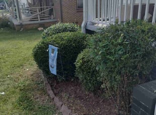 Weeding by Joseph White for Beth R. in Lenoir City, TN