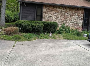Bush Trimming by Goins Landscaping LLC for Jordan C. in West Chester Township, OH