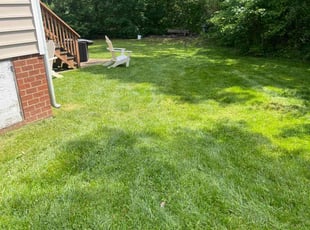 Tim L.'s Lawn Mowing Service service result