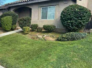 Bush Trimming by Edward Walsh for Veronica M. in Grand Terrace, CA