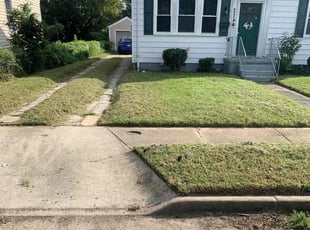 Bush Trimming by Clinton Peet for Jacob A. in Norfolk, VA