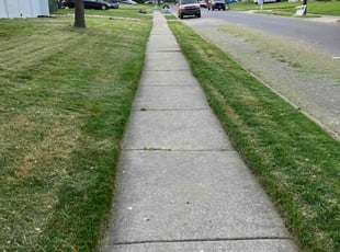 Ryan B.'s Lawn Maintenance service result