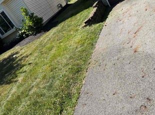 Weeding by Ramon Jones for Mo e. in Worthington, OH