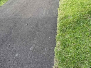 Karen F.'s Lawn Mowing Service service result