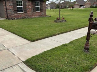 Andre S.'s Lawn Mowing service result