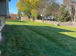 Marco D.'s Lawn Care service result
