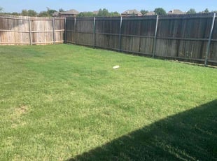 Bush Trimming by Gustavo Duran for Kelly B. in Fort Worth, TX