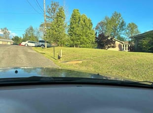 Maly G.'s Lawn Mowing service result