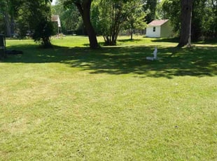 Kurtis K.'s Lawn Service service result
