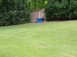 Lisa J.'s Grass Cutting service result
