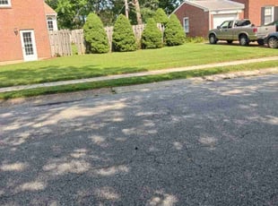 Eric S.'s Lawn Care service result